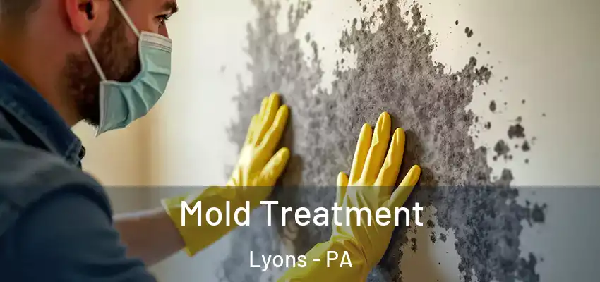  Mold Treatment Lyons - PA