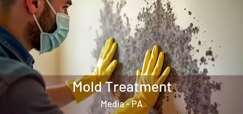 Mold Treatment Media - PA