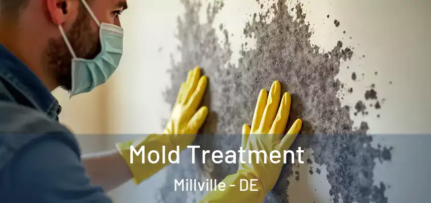 Mold Treatment Millville - DE