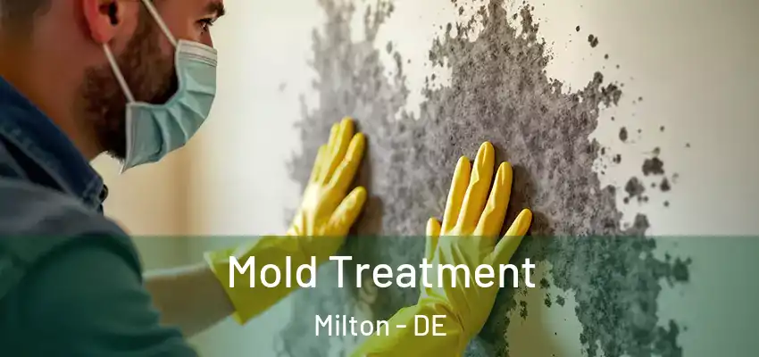 Mold Treatment Milton - DE