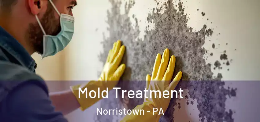 Mold Treatment Norristown - PA