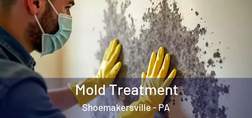  Mold Treatment Shoemakersville - PA