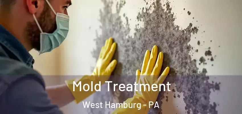 Mold Treatment West Hamburg - PA