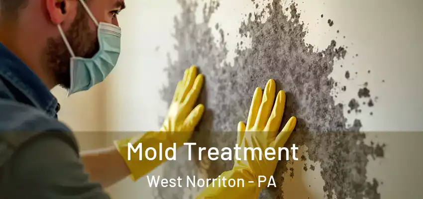 Mold Treatment West Norriton - PA