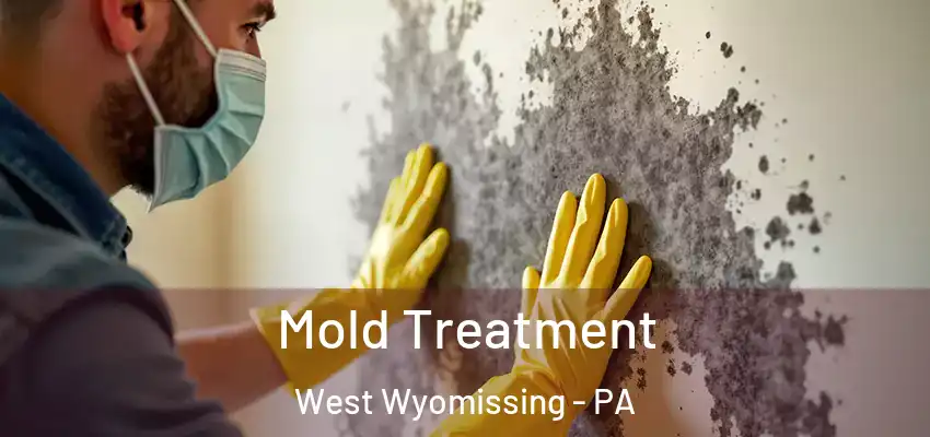 Mold Treatment West Wyomissing - PA