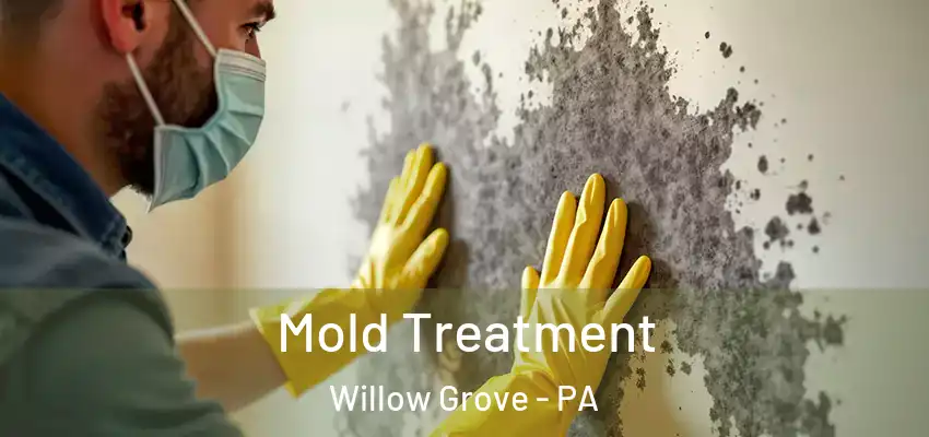  Mold Treatment Willow Grove - PA