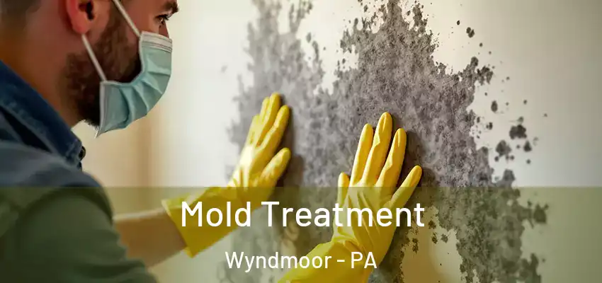 Mold Treatment Wyndmoor - PA