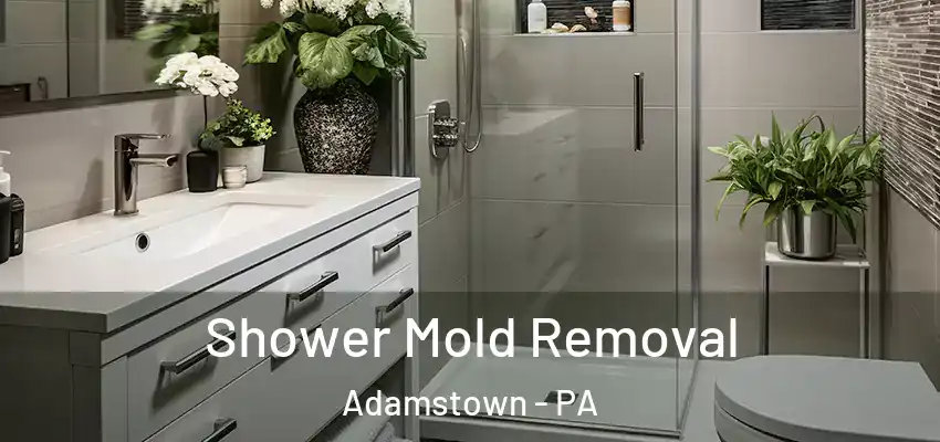  Shower Mold Removal Adamstown - PA