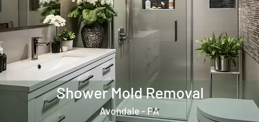  Shower Mold Removal Avondale - PA