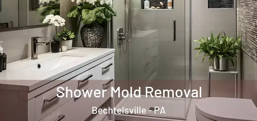 Shower Mold Removal Bechtelsville - PA