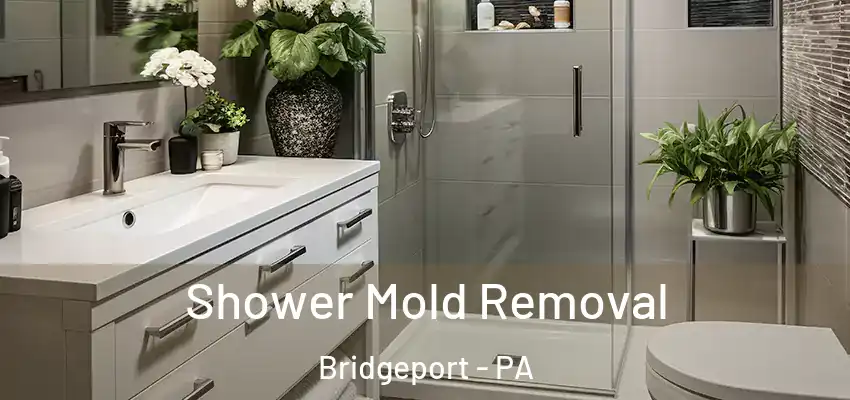  Shower Mold Removal Bridgeport - PA