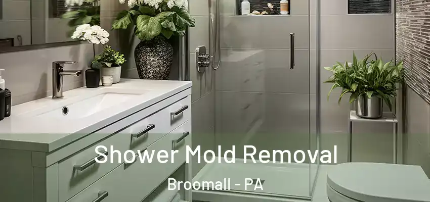  Shower Mold Removal Broomall - PA