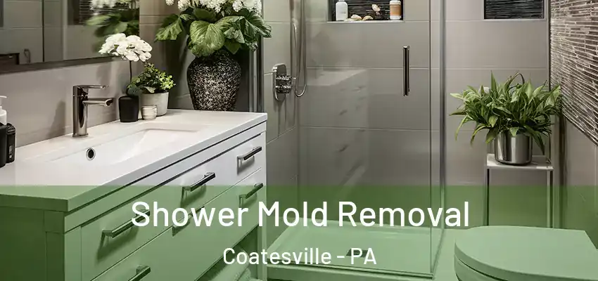 Shower Mold Removal Coatesville - PA