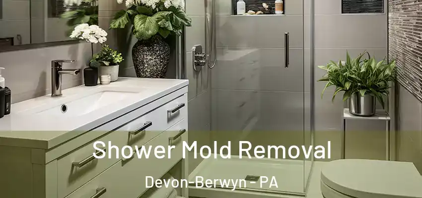Shower Mold Removal Devon-Berwyn - PA