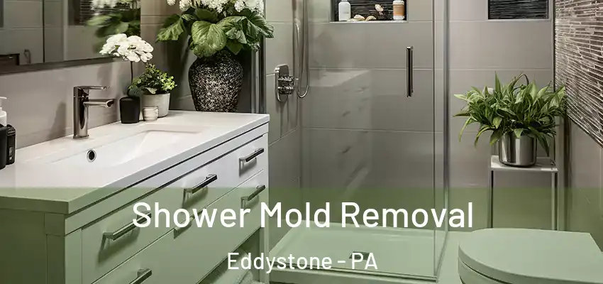 Shower Mold Removal Eddystone - PA