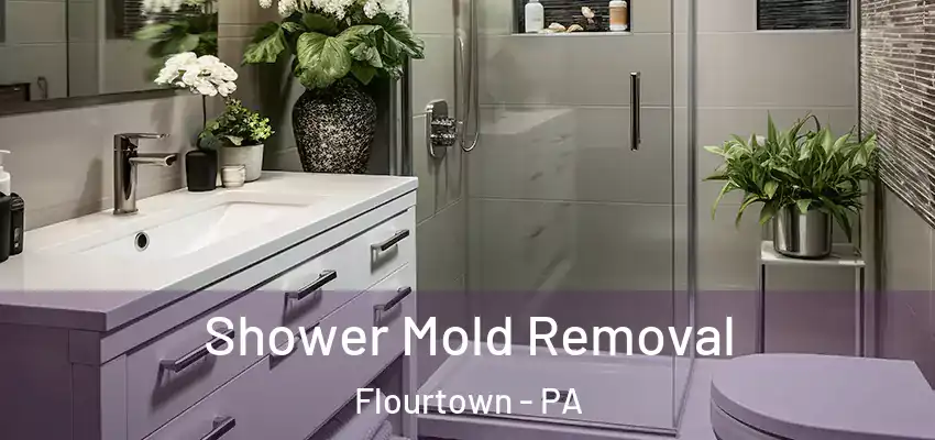  Shower Mold Removal Flourtown - PA