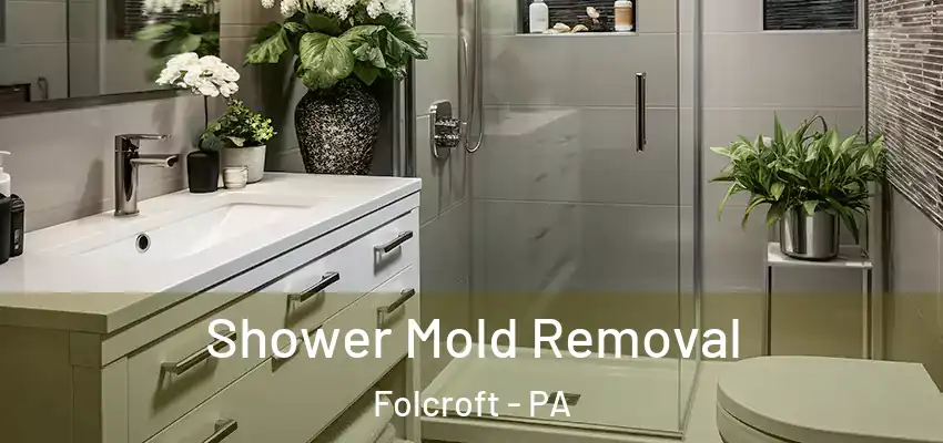 Shower Mold Removal Folcroft - PA