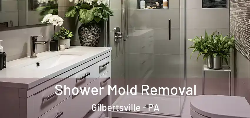 Shower Mold Removal Gilbertsville - PA