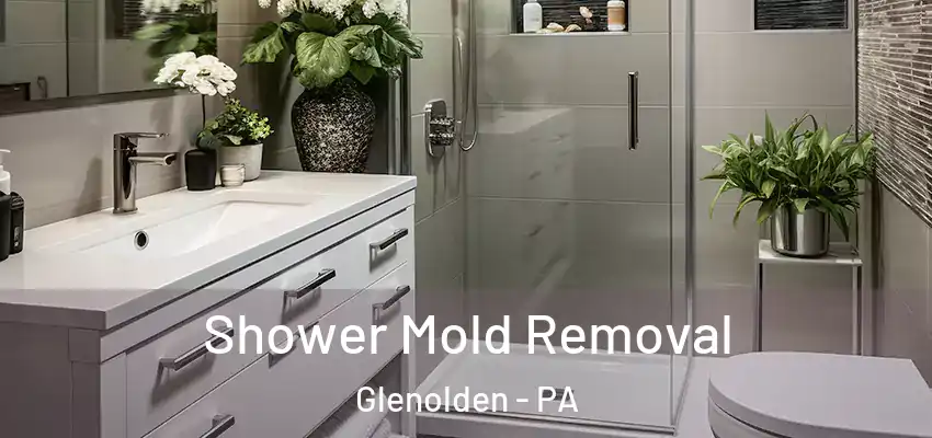 Shower Mold Removal Glenolden - PA