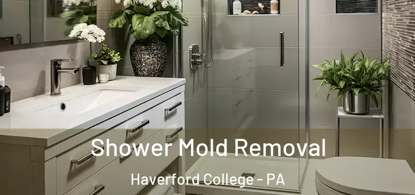 Shower Mold Removal Haverford College - PA
