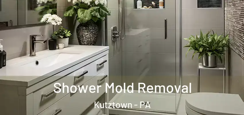 Shower Mold Removal Kutztown - PA