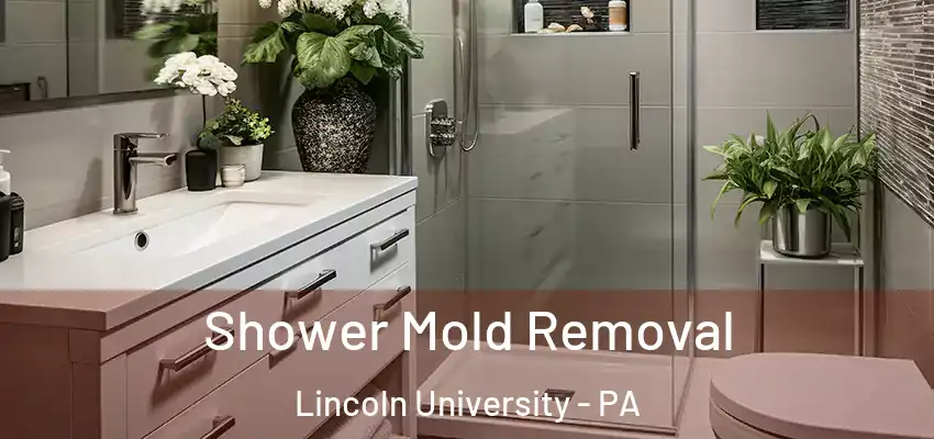 Shower Mold Removal Lincoln University - PA