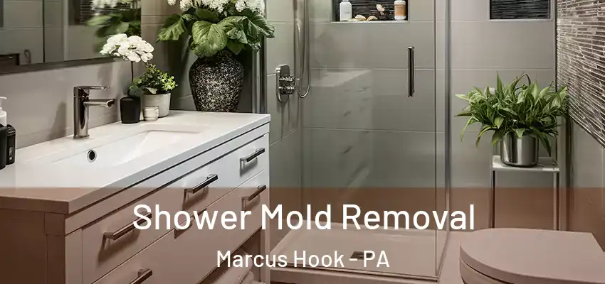 Shower Mold Removal Marcus Hook - PA