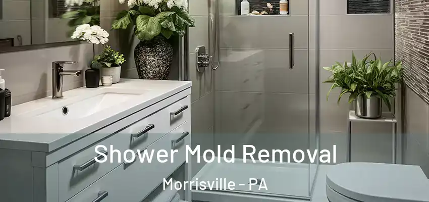  Shower Mold Removal Morrisville - PA