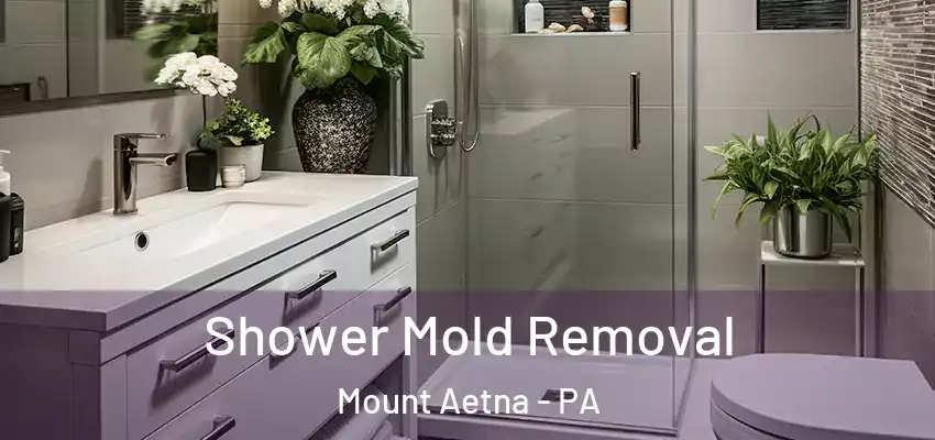 Shower Mold Removal Mount Aetna - PA