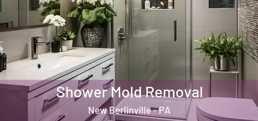 Shower Mold Removal New Berlinville - PA