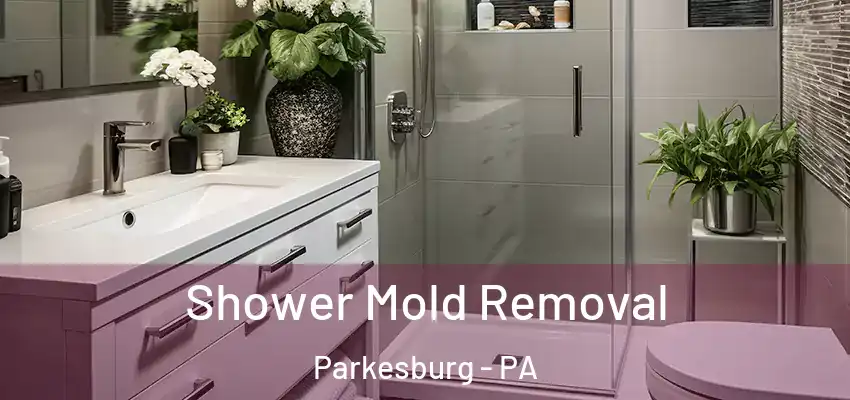  Shower Mold Removal Parkesburg - PA