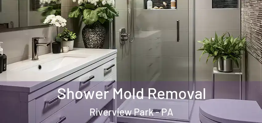 Shower Mold Removal Riverview Park - PA
