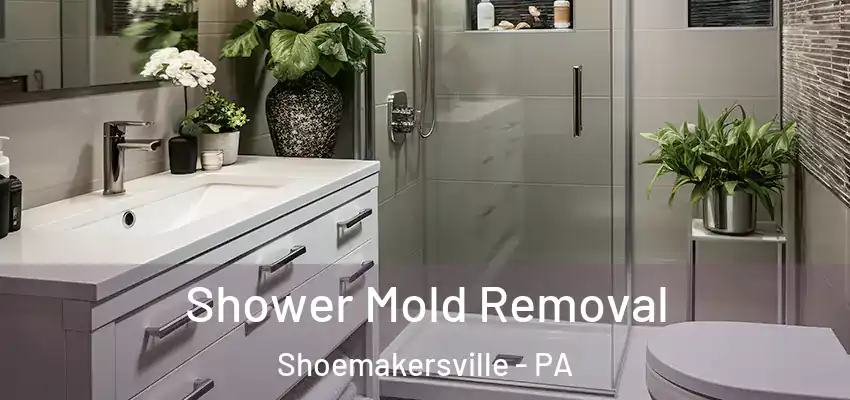 Shower Mold Removal Shoemakersville - PA