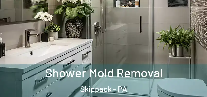  Shower Mold Removal Skippack - PA