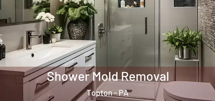 Shower Mold Removal Topton - PA