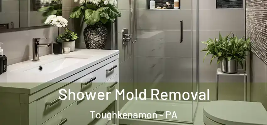  Shower Mold Removal Toughkenamon - PA