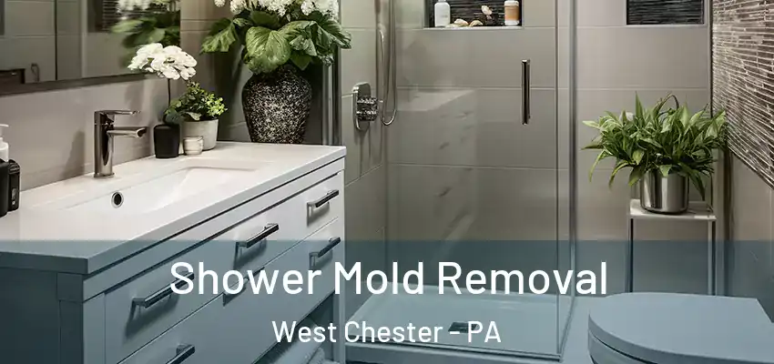  Shower Mold Removal West Chester - PA