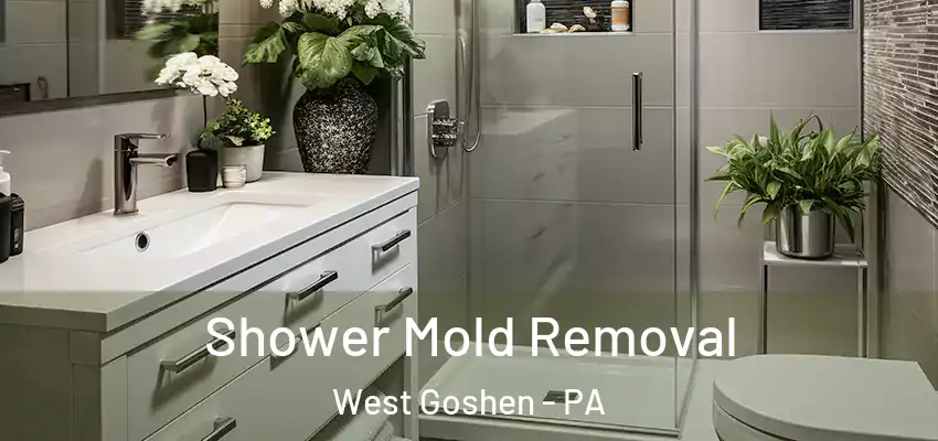  Shower Mold Removal West Goshen - PA
