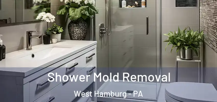 Shower Mold Removal West Hamburg - PA