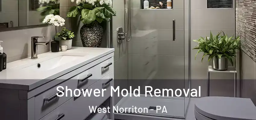 Shower Mold Removal West Norriton - PA