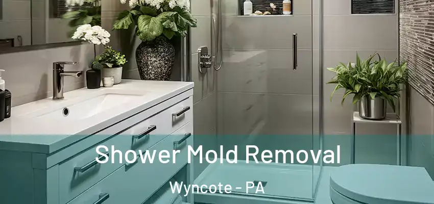  Shower Mold Removal Wyncote - PA