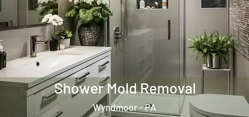  Shower Mold Removal Wyndmoor - PA